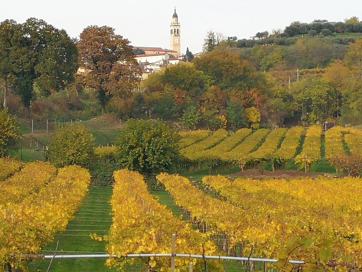 B&B Pontesello Colognola ai Colli ภายนอก รูปภาพ